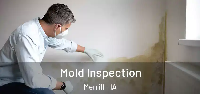 Mold Inspection Merrill - IA