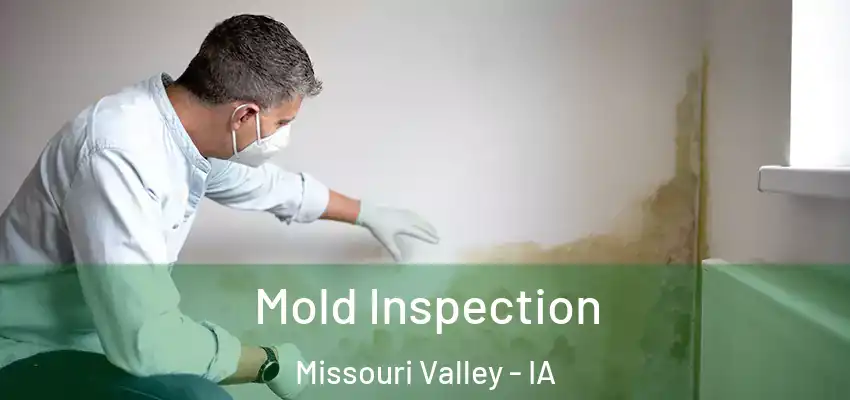 Mold Inspection Missouri Valley - IA