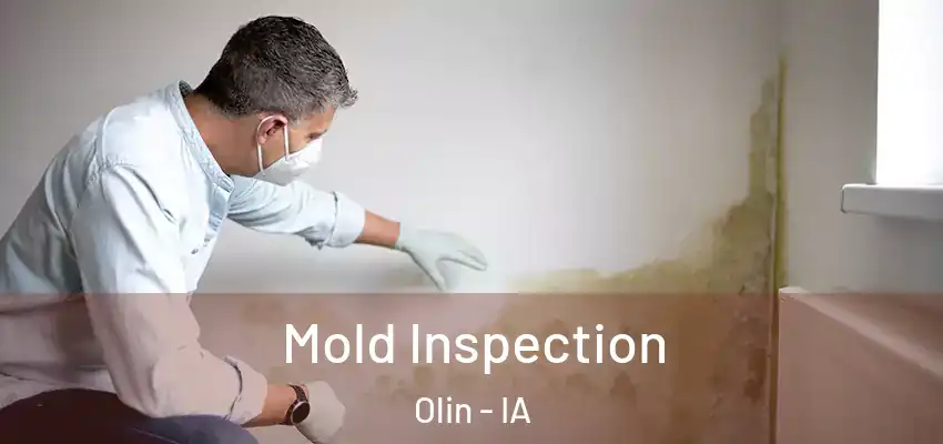 Mold Inspection Olin - IA
