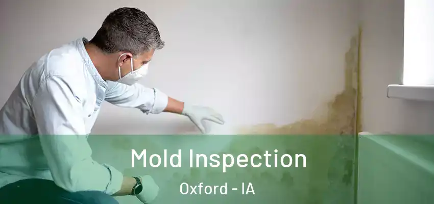  Mold Inspection Oxford - IA
