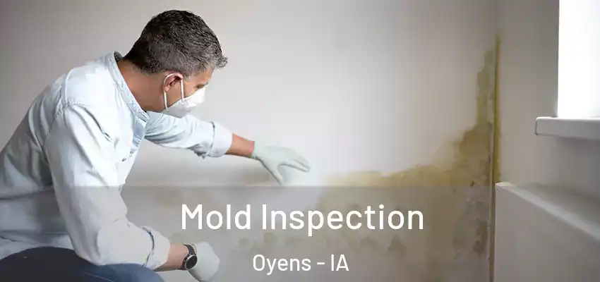 Mold Inspection Oyens - IA