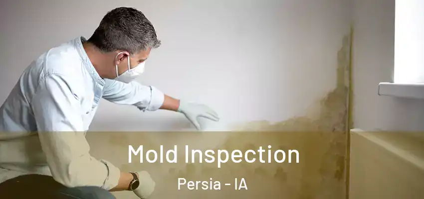  Mold Inspection Persia - IA