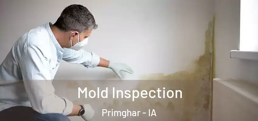 Mold Inspection Primghar - IA