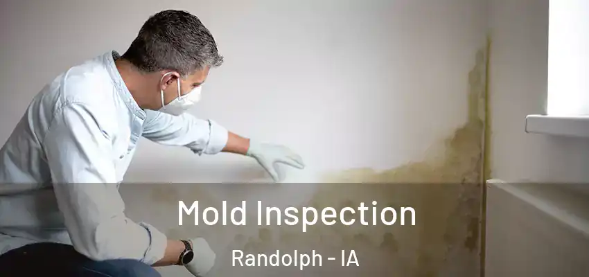Mold Inspection Randolph - IA