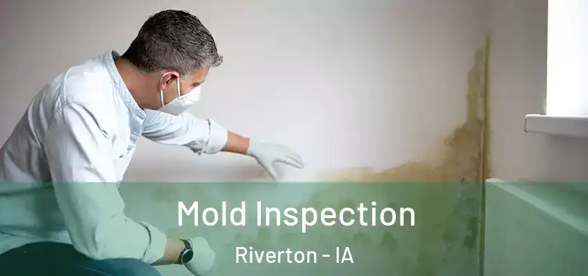 Mold Inspection Riverton - IA