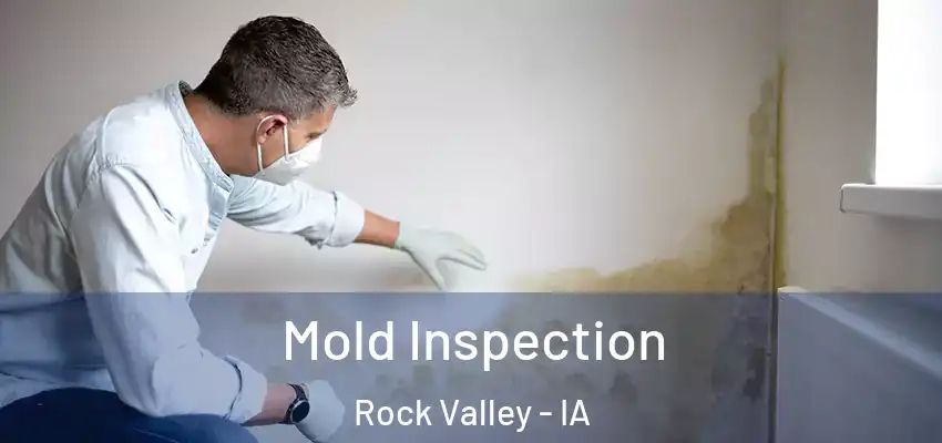  Mold Inspection Rock Valley - IA