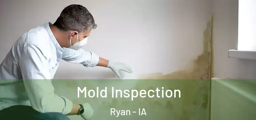 Mold Inspection Ryan - IA