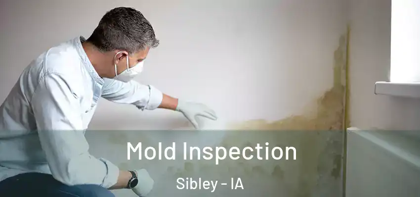  Mold Inspection Sibley - IA