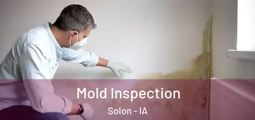 Mold Inspection Solon - IA