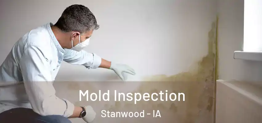 Mold Inspection Stanwood - IA