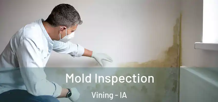  Mold Inspection Vining - IA