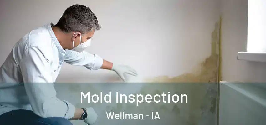 Mold Inspection Wellman - IA