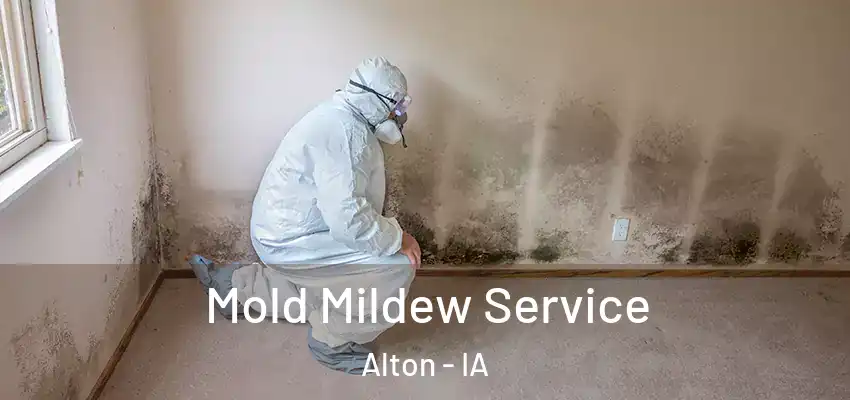 Mold Mildew Service Alton - IA