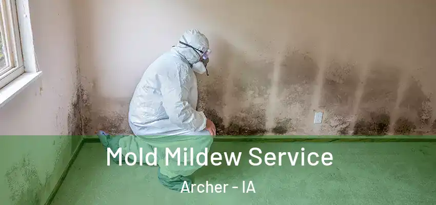 Mold Mildew Service Archer - IA
