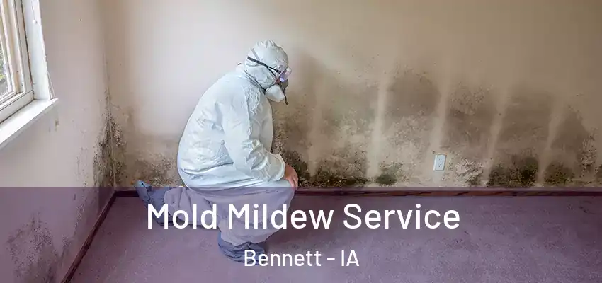  Mold Mildew Service Bennett - IA