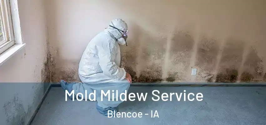 Mold Mildew Service Blencoe - IA