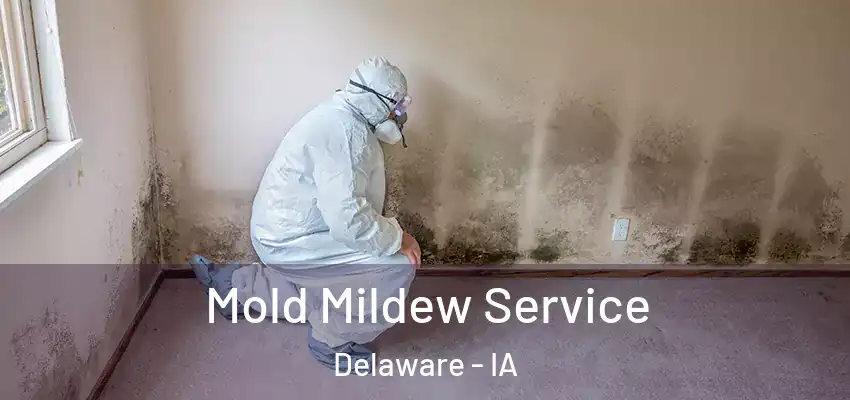 Mold Mildew Service Delaware - IA