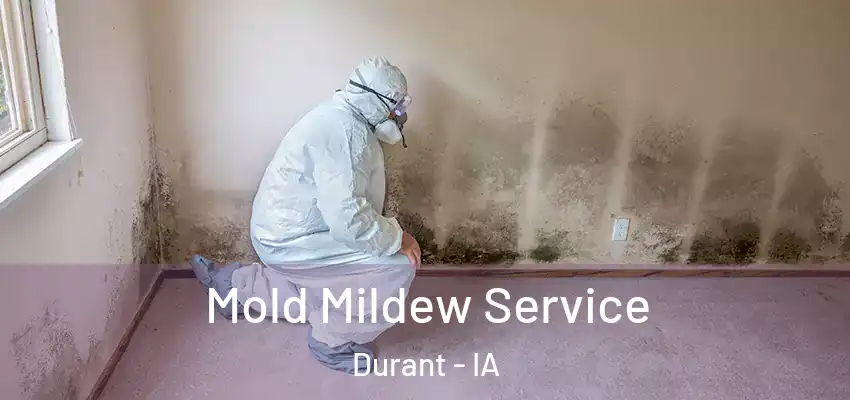  Mold Mildew Service Durant - IA