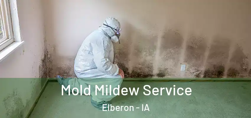 Mold Mildew Service Elberon - IA