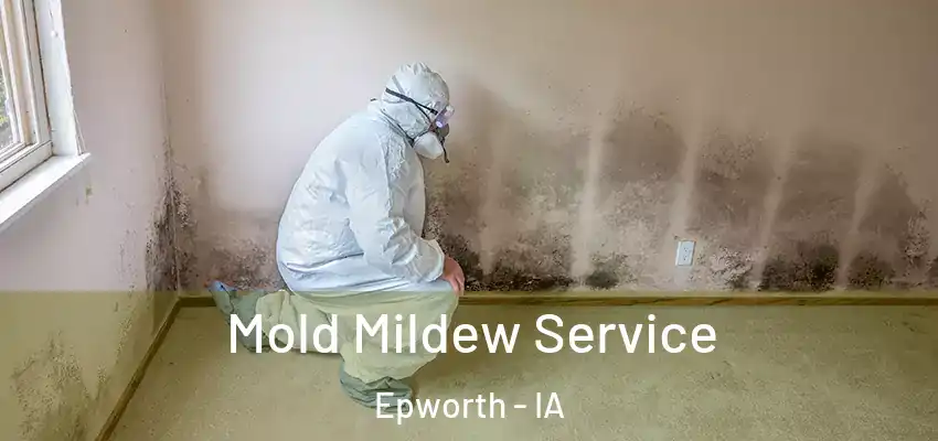  Mold Mildew Service Epworth - IA