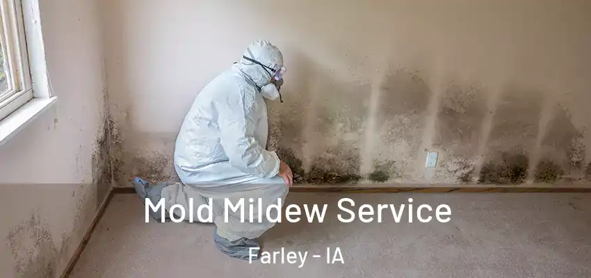  Mold Mildew Service Farley - IA