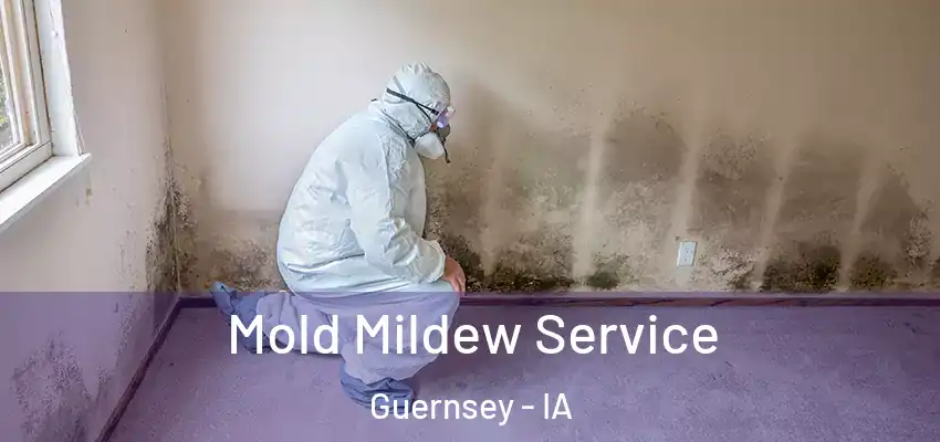  Mold Mildew Service Guernsey - IA