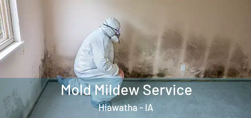 Mold Mildew Service Hiawatha - IA