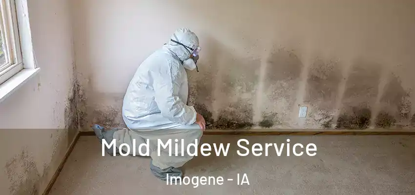 Mold Mildew Service Imogene - IA