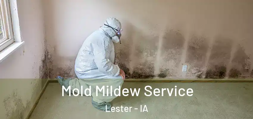 Mold Mildew Service Lester - IA