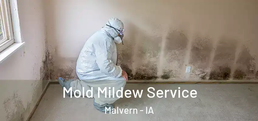 Mold Mildew Service Malvern - IA