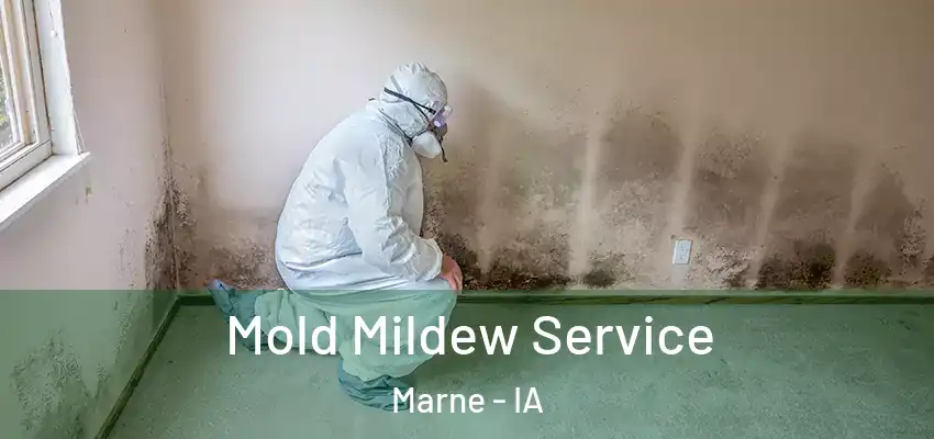  Mold Mildew Service Marne - IA