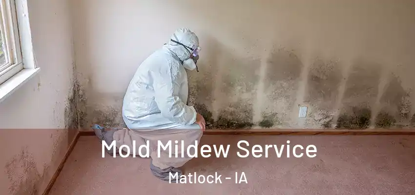 Mold Mildew Service Matlock - IA