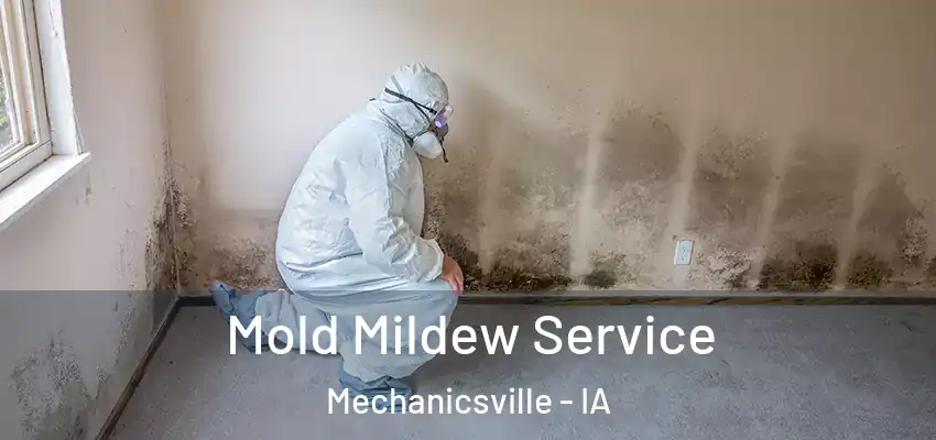  Mold Mildew Service Mechanicsville - IA