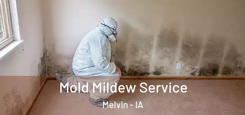 Mold Mildew Service Melvin - IA