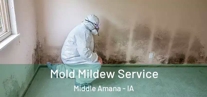 Mold Mildew Service Middle Amana - IA
