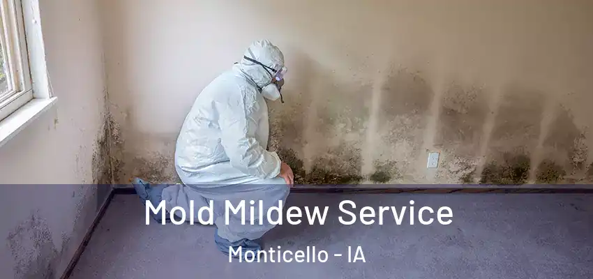  Mold Mildew Service Monticello - IA