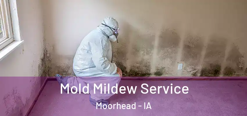Mold Mildew Service Moorhead - IA