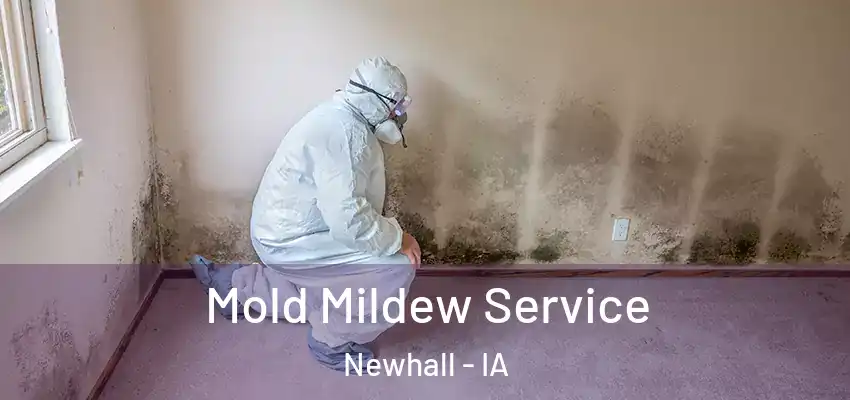 Mold Mildew Service Newhall - IA