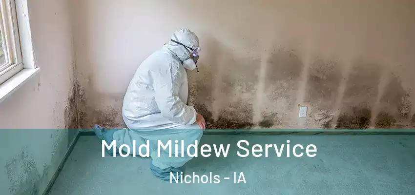  Mold Mildew Service Nichols - IA