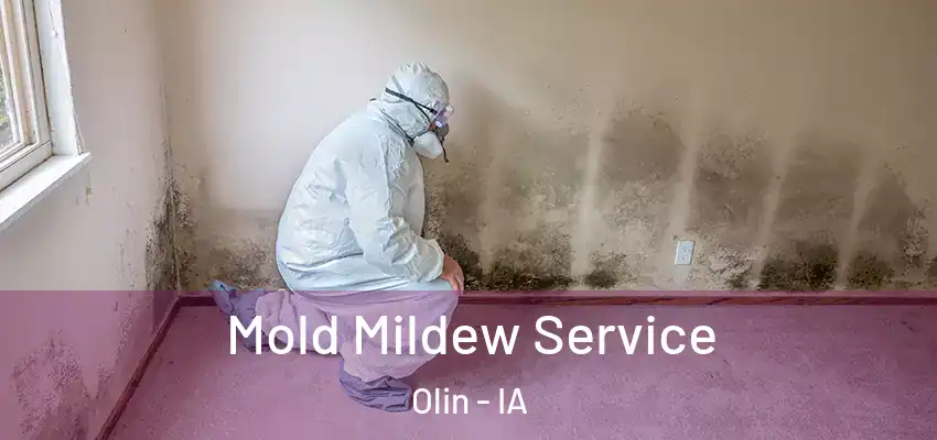  Mold Mildew Service Olin - IA