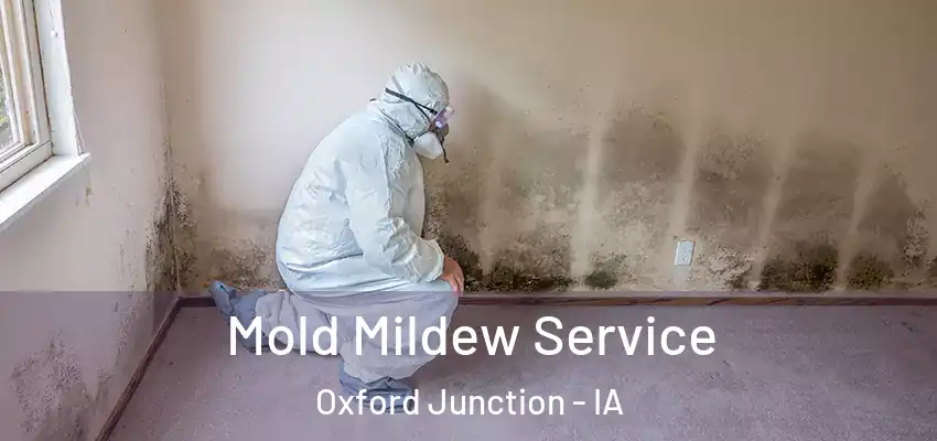  Mold Mildew Service Oxford Junction - IA