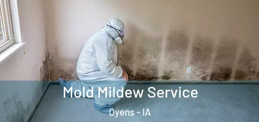  Mold Mildew Service Oyens - IA