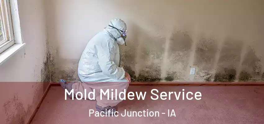 Mold Mildew Service Pacific Junction - IA