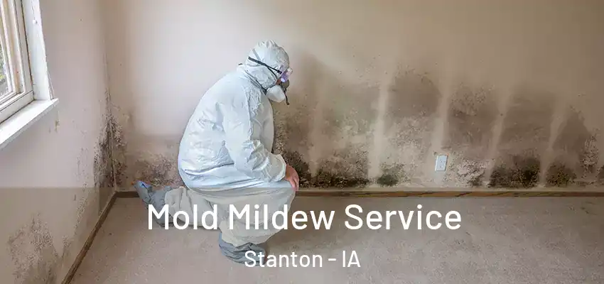 Mold Mildew Service Stanton - IA
