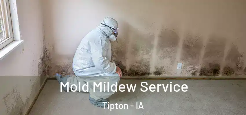  Mold Mildew Service Tipton - IA
