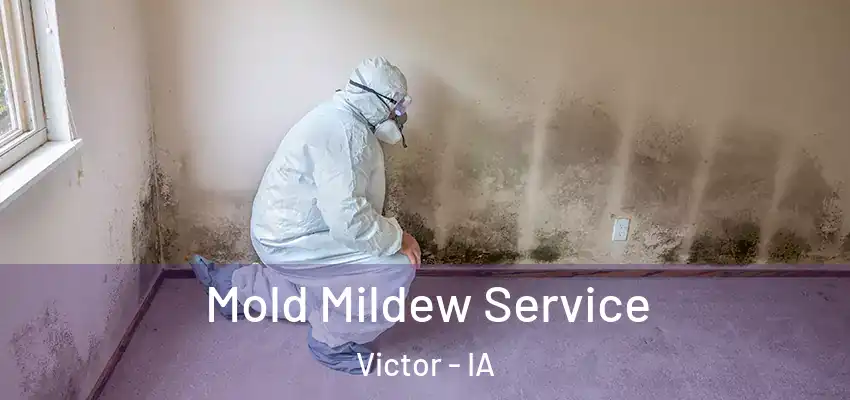 Mold Mildew Service Victor - IA