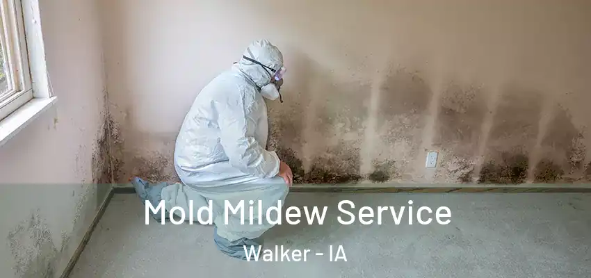  Mold Mildew Service Walker - IA