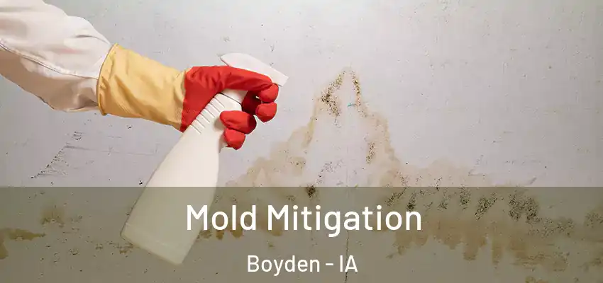 Mold Mitigation Boyden - IA