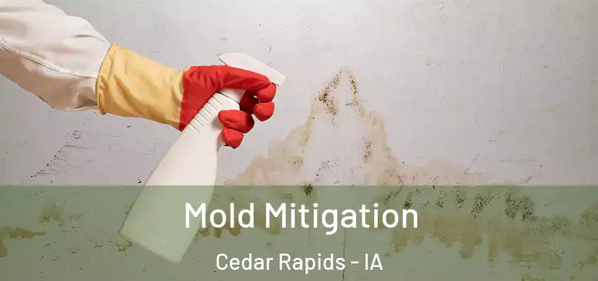 Mold Mitigation Cedar Rapids - IA