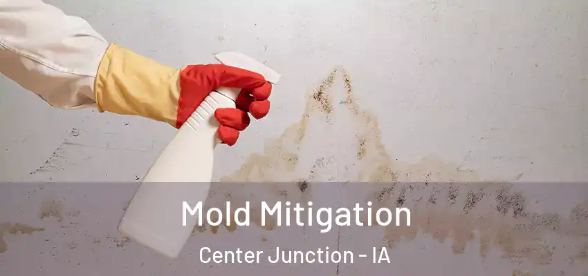  Mold Mitigation Center Junction - IA